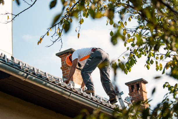 Best Roof Gutter Cleaning  in Aiken, SC